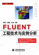FLUENT̼g(sh)c(sh)