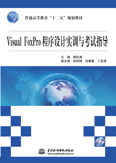 Visual FoxPro程序設計實訓與考試指導